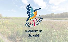 HarTeluk Afsluitdijk Zurich